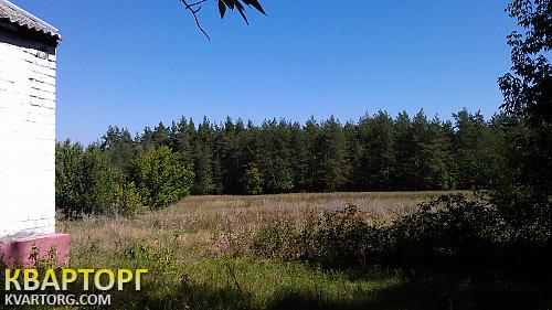 Sell house. Донецк, Яцкое — photo 3