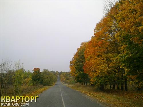 Sell house. Киевская обл., кухари — photo 8