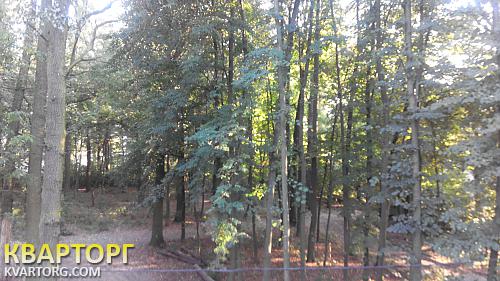 Sell house. Ирпень, Гоголя — photo 9