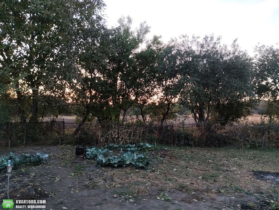 Sell house. Киевская обл., Недра — photo 9