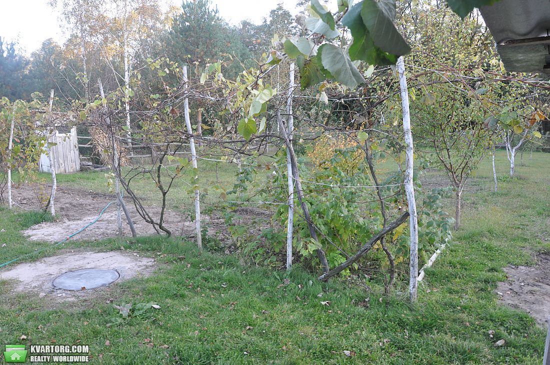Sell house. Киевская обл., Головуров — photo 3