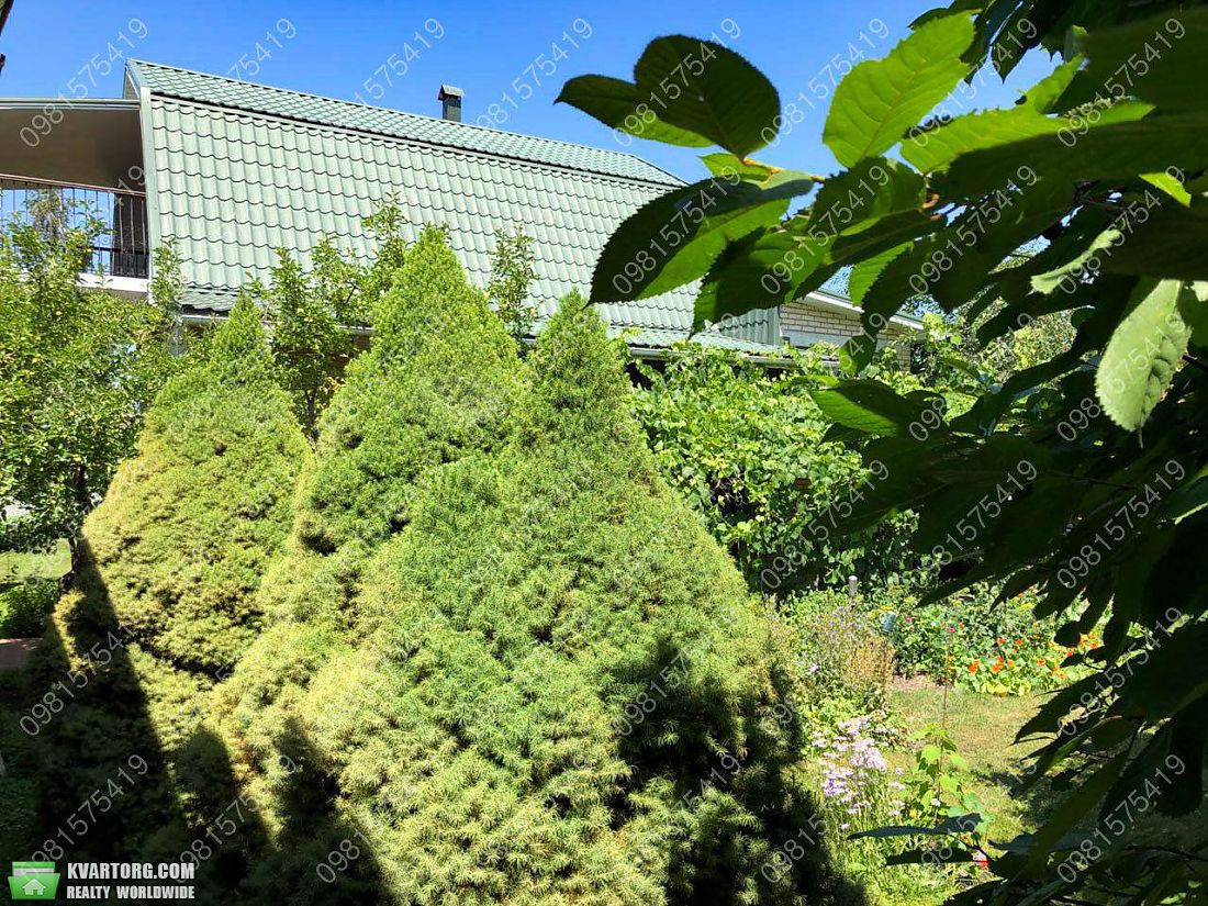 Sell house. Вышгород, Центральная — photo 10