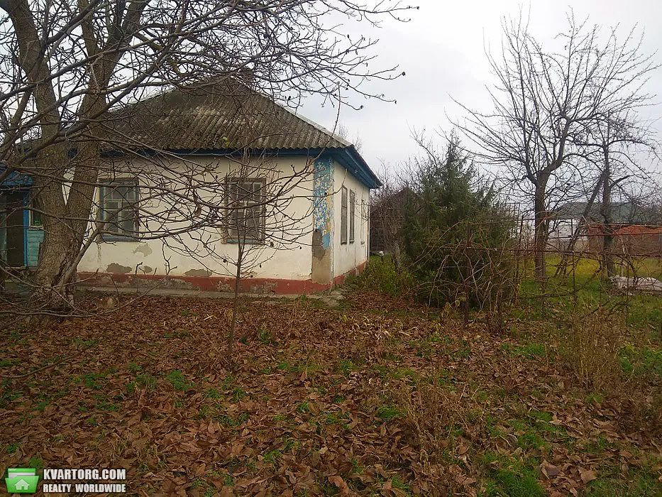 Sell house. Киевская обл., с.Летки — photo 7