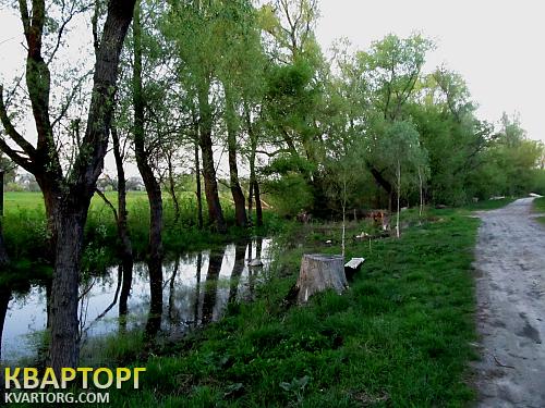 Sell house. Киев, с.Летки — photo 10