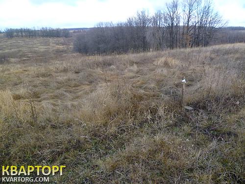 аренда земельного участка в харькове порицаю