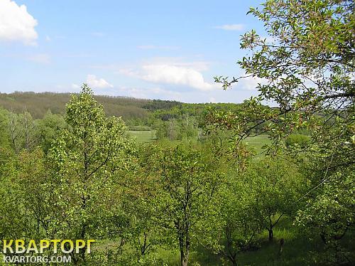 Sell house. Киевская обл., Юшки — photo 3