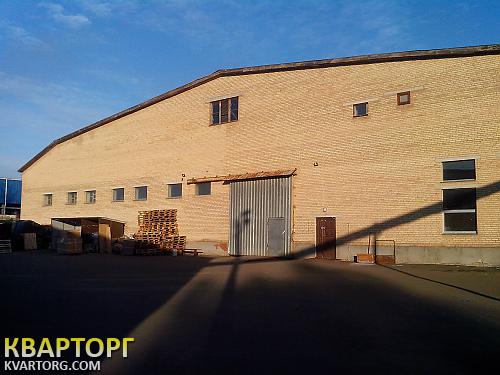 Rent out warehouse. Киевская обл., Гостомель — photo 1