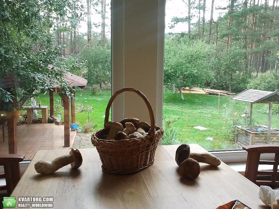 Sell house. Киевская обл., Шибене — photo 3