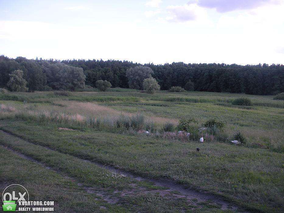 Sell house. Харьков, Боровая — photo 4