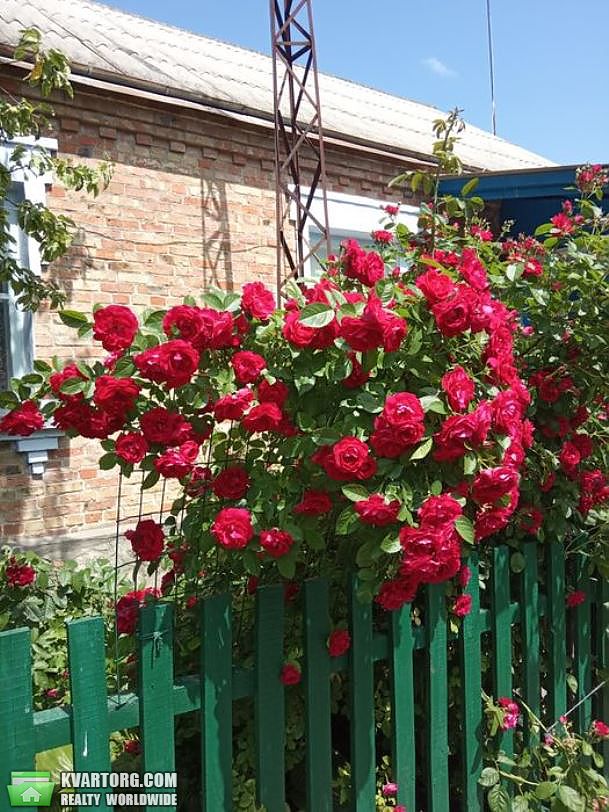 Sell house. Киев, Подгорный пер — photo 8