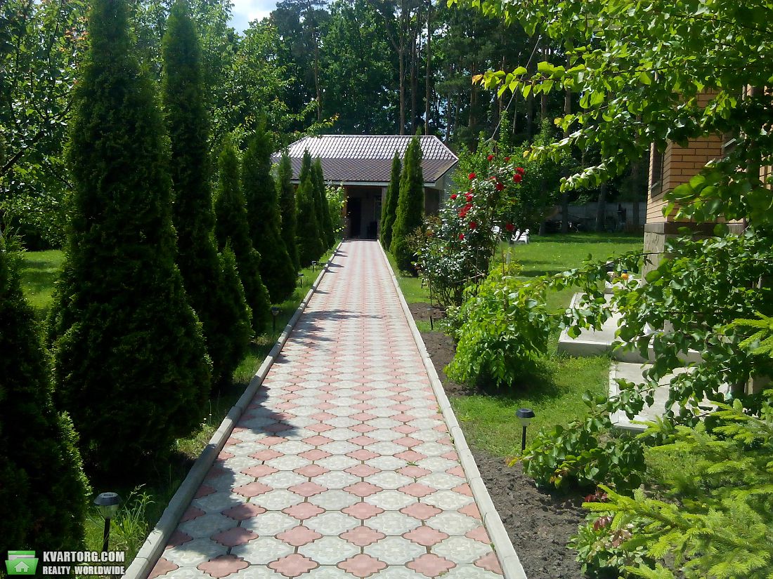 Rent out house. Киевская обл., Петрушки — photo 6