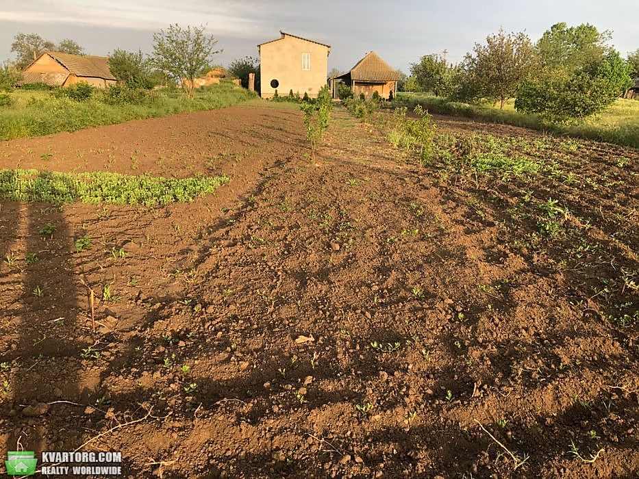 Sell house. Одесса, Плахтиевка — photo 9