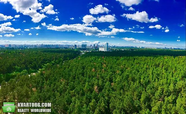 Rent out 2-room apartment. Киев,  Светлая — photo 8