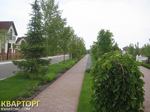 Sell house. Киевская обл.,  Золочевская — photo 6