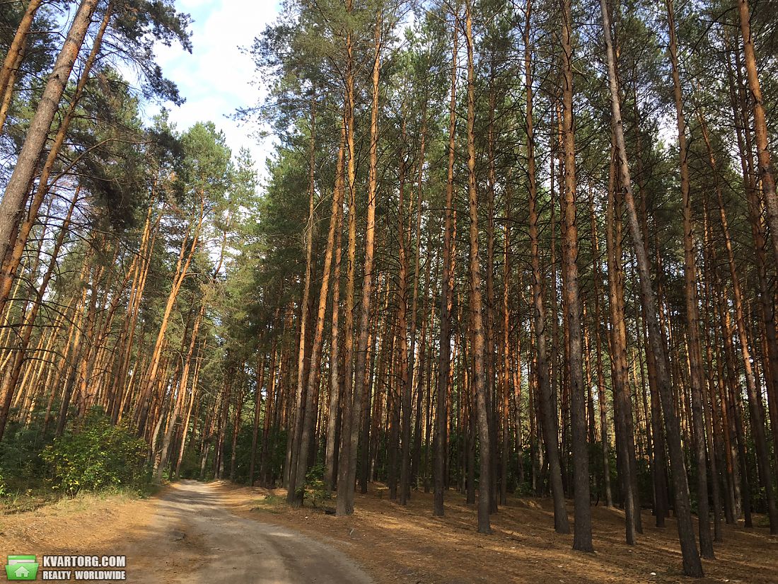 Sell house. Киевская обл., Шевченко — photo 5