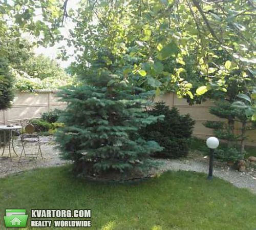 Rent out house. Киевская обл., Ирпень — photo 3