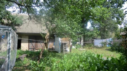 Sell house. Киевская обл., Клвдиево — photo 2