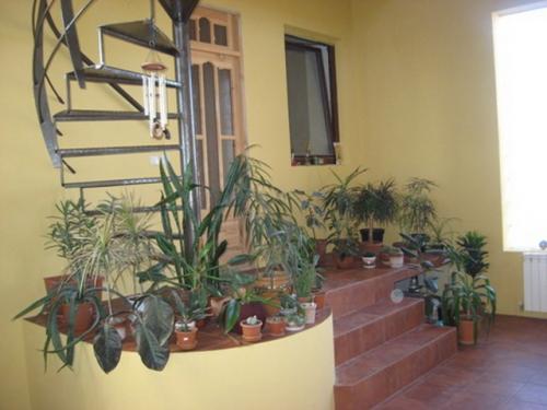 Sell house. Одесса, Огородная — photo 1