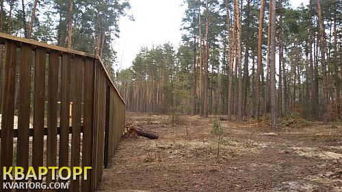продам участок. Киевская обл.,  высшая дубечня - фото 2