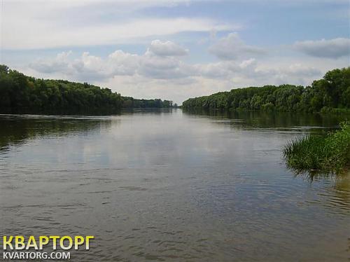 Rent out house. Киевская обл., Пуховка — photo 9