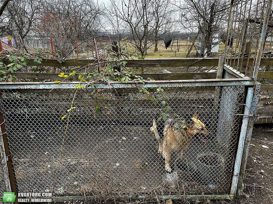Sell house. Киевская обл., Людвинівка — photo 10