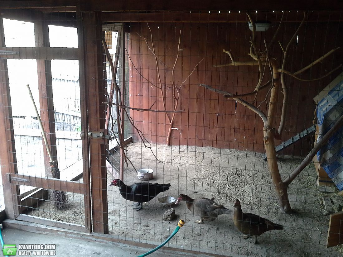 Sell house. Киевская обл., Мусийки — photo 10