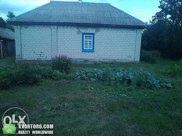 Sell house. Чернигов, Жовтнева — photo 5