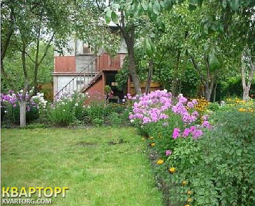 Sell house. Киевская обл., Процев — photo 1