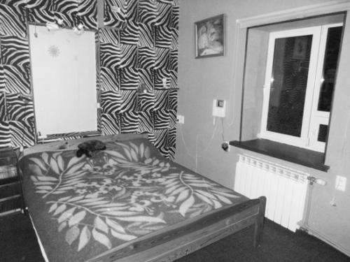 Rent out house. Киев, маршальская — photo 2