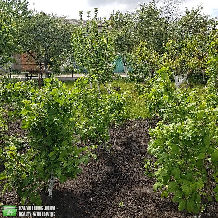 Sell house. Хмельницкий, Центральная — photo 5