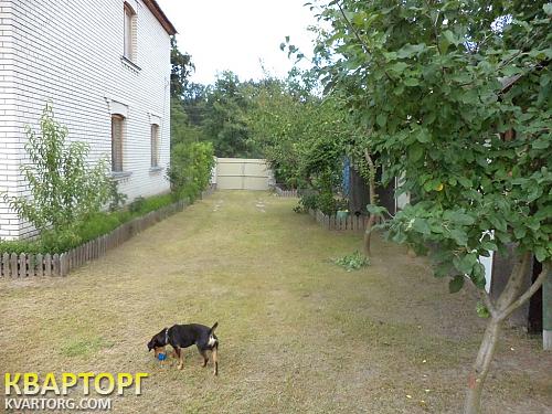 Sell house. Киевская обл., Буча — photo 6