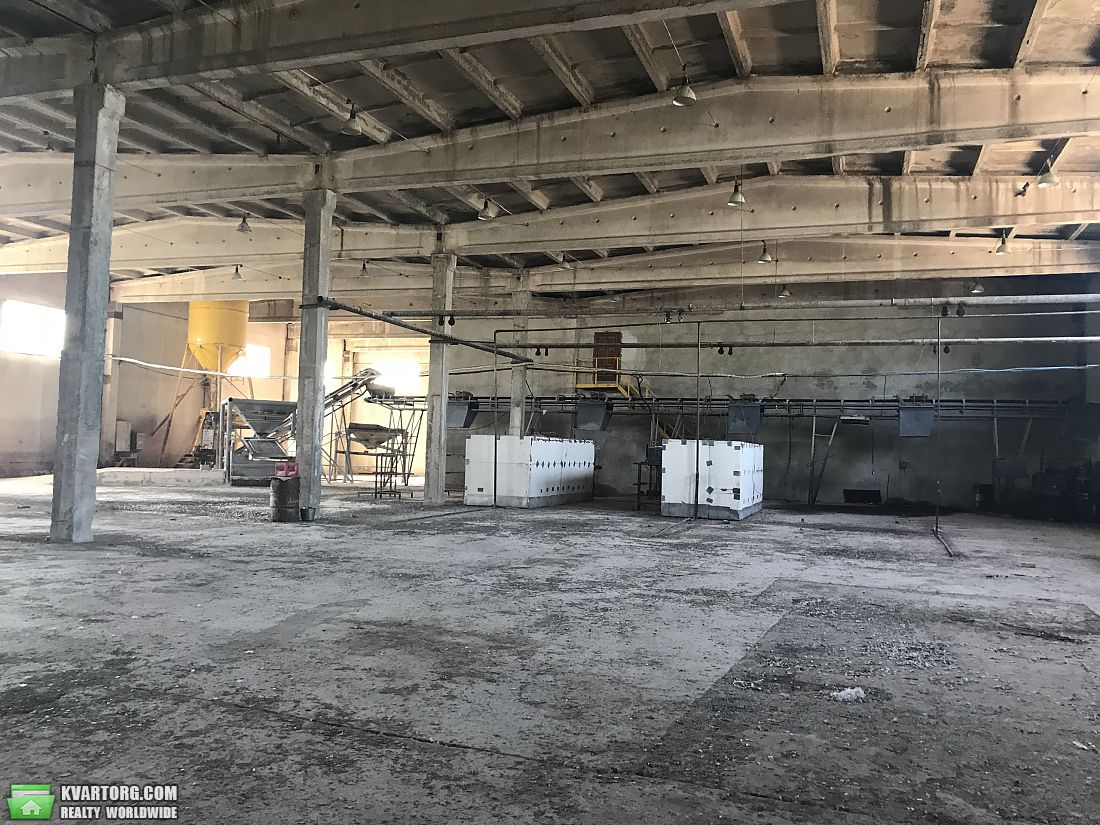Sell warehouse. Черновцы, Разина — photo 5