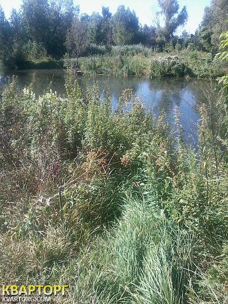 Sell house. Киевская обл., личанка — photo 1