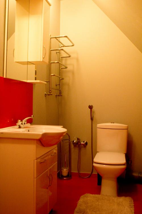 Rent out house. Киевская обл., Шевченка — photo 10