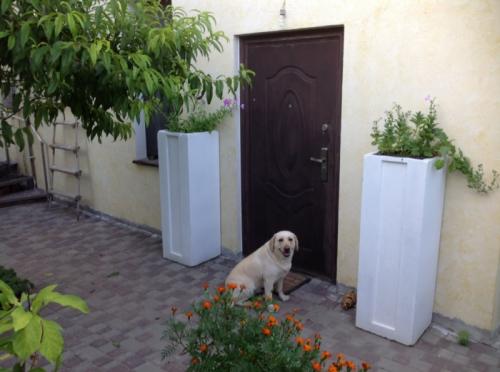 Sell house. Одесса, Степная — photo 8