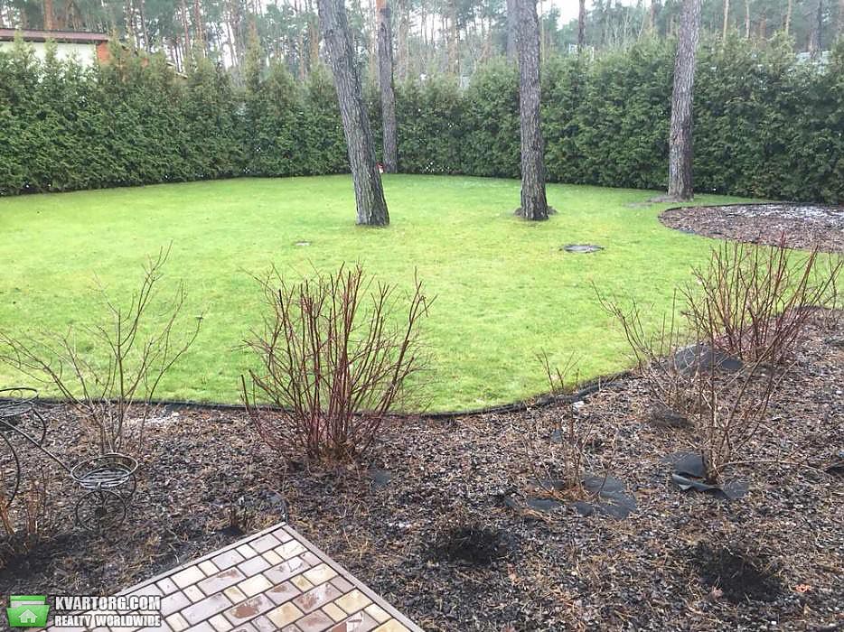 Rent out Townhouse. Киевская обл., Козин — photo 8
