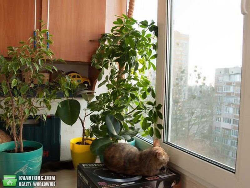 Sell 1-room apartment. Киев,  Булгакова — photo 1