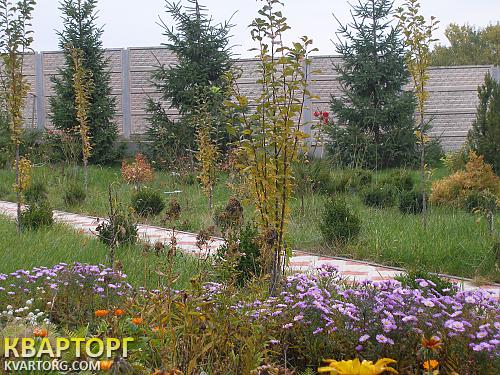 Sell house. Васильков, Шевченко — photo 4