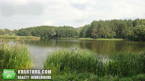 Sell house. Киевская обл., Травнева — photo 10
