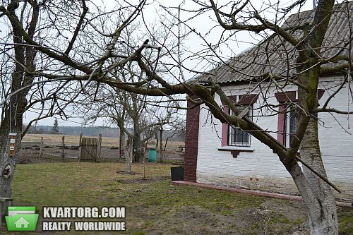 Sell house. Киевская обл., Скригаловка — photo 1