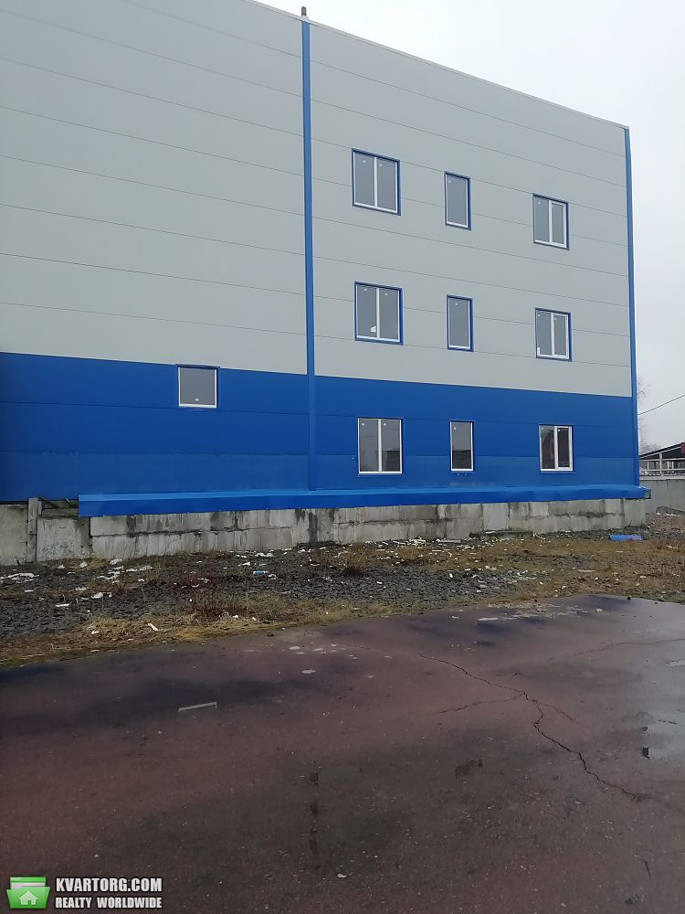 Rent out warehouse. Борисполь, Запорожская — photo 5