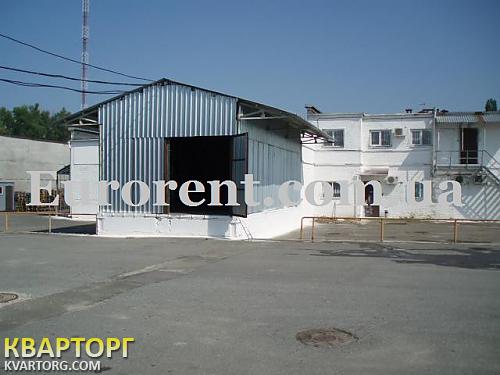 Rent out warehouse. Киевская обл., с. Мила — photo 2