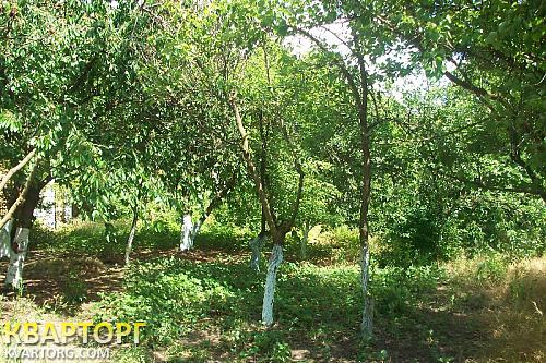 Sell house. Одесса, смт. Таирова — photo 1