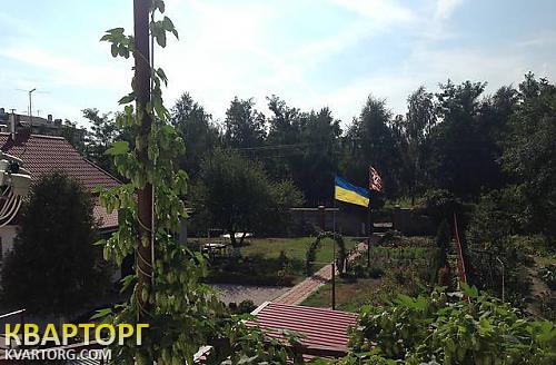 Rent out house. Киевская обл., с.Счастливое — photo 8