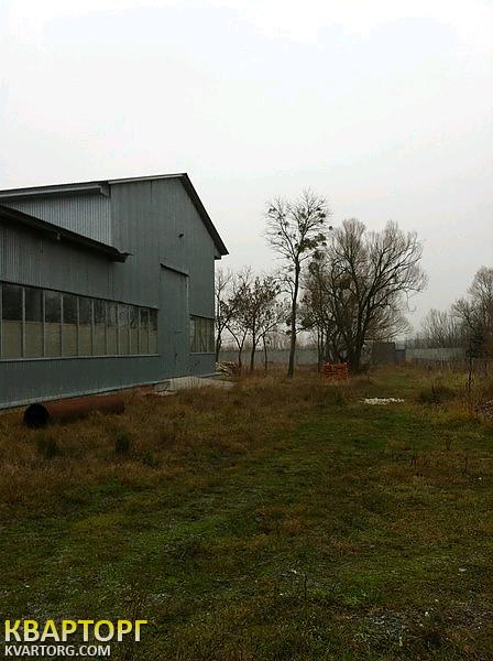 Rent out warehouse. Киев, Бородянский район с. Небрат ул. Гутниченко — photo 1