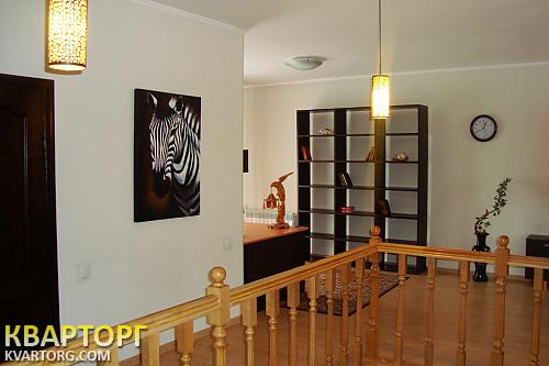 Rent out house. Киевская обл., Чайки — photo 4