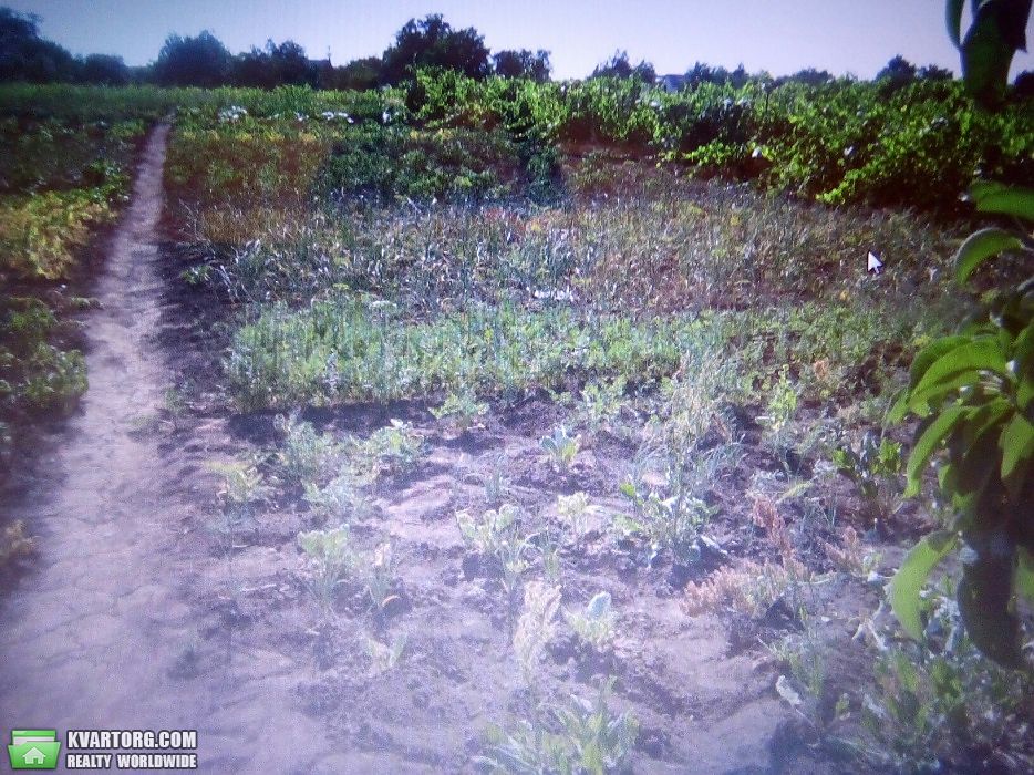Sell house. Одесса,  Садовая — photo 8