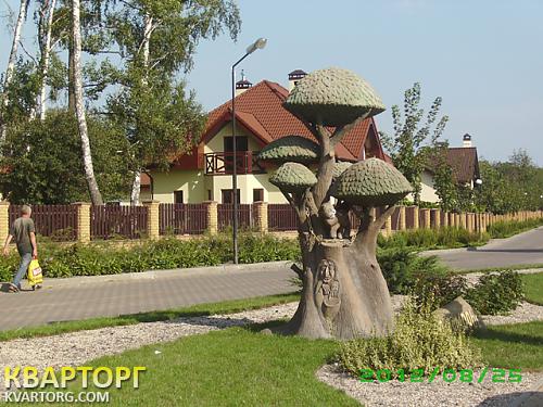 Sell house. Киевская обл., Севериновка — photo 6