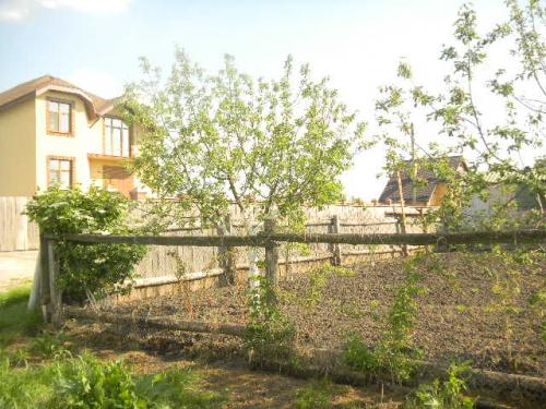 Sell house. Киевская обл., Зазимье — photo 6