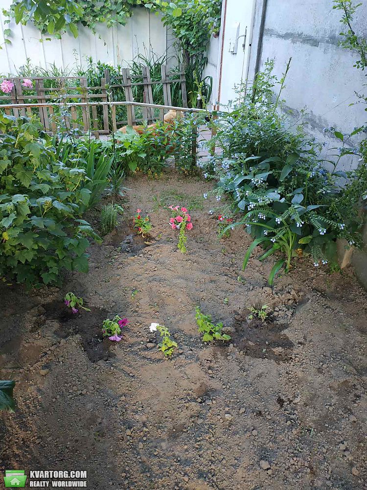 Sell house. Киевская обл., Сантехник 2 — photo 4